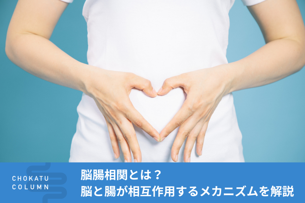 脳腸相関とは？脳と腸が相互作用するメカニズムを解説【管理栄養士監修】