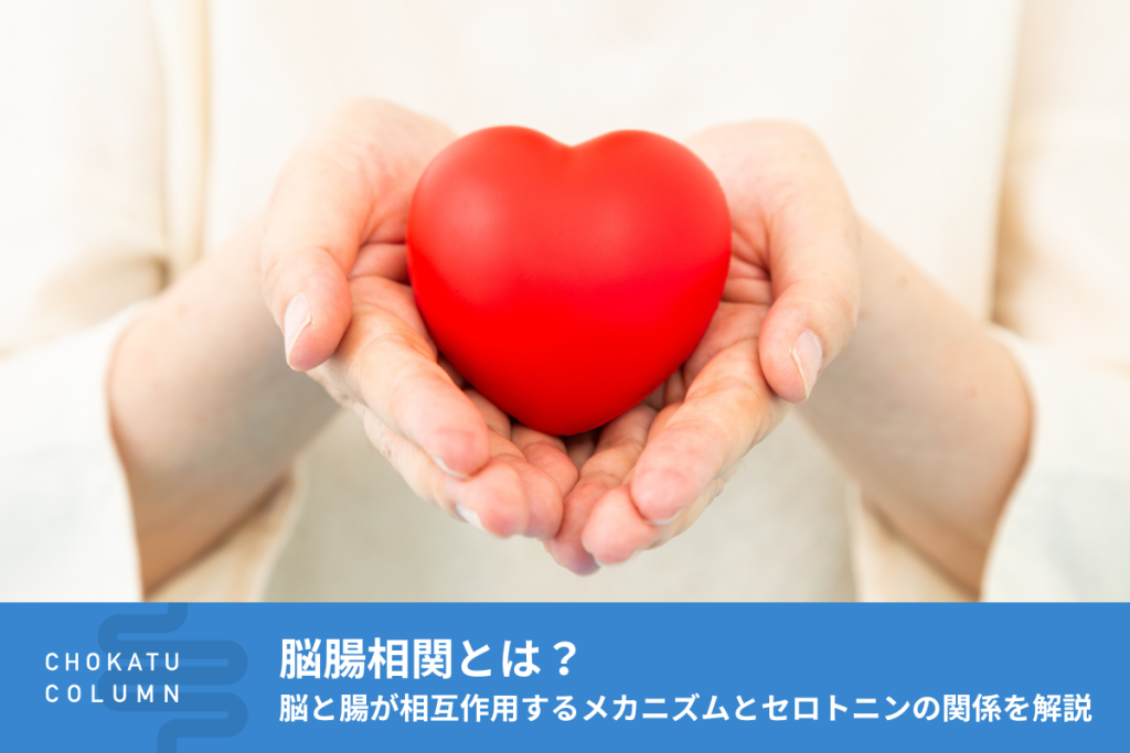 脳腸相関とは?脳と腸が相互作用するメカニズムとセロトニンの関係を解説【管理栄養士監修】